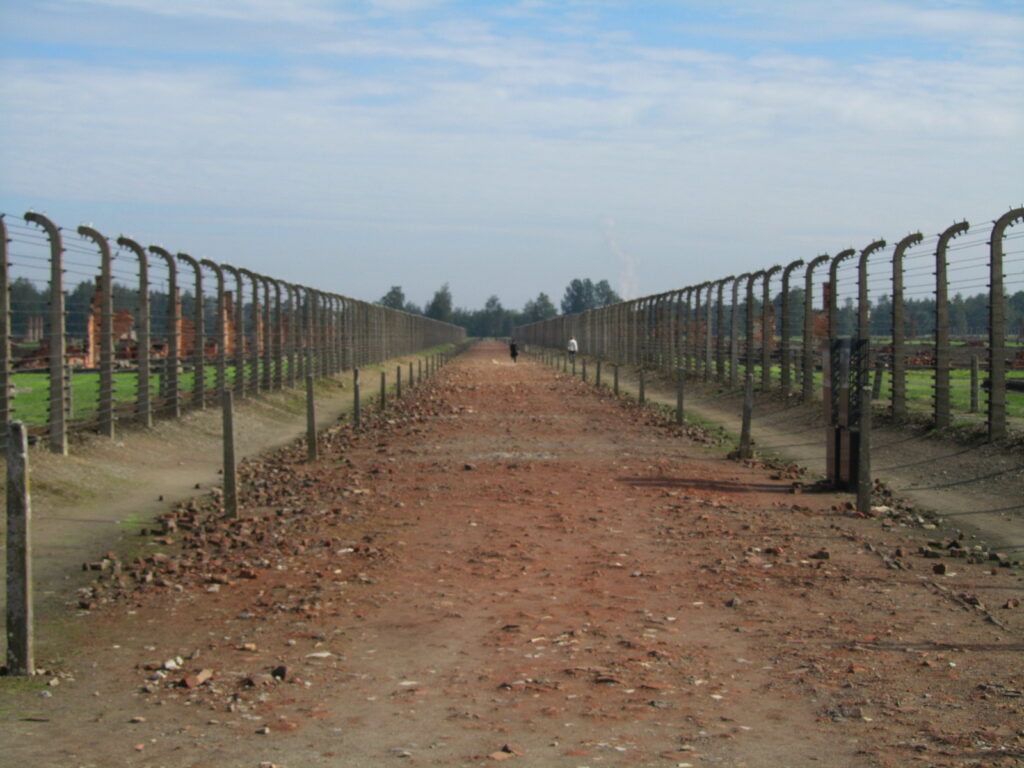 Auschwitz - Death Walk from Railhead to Gas Chambers