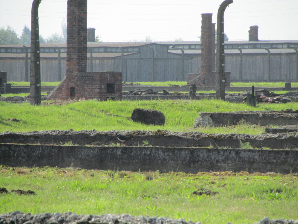 Auschwitz